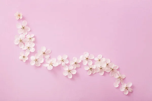 Cseresznye Virágok Papír Alapon — Stock Fotó