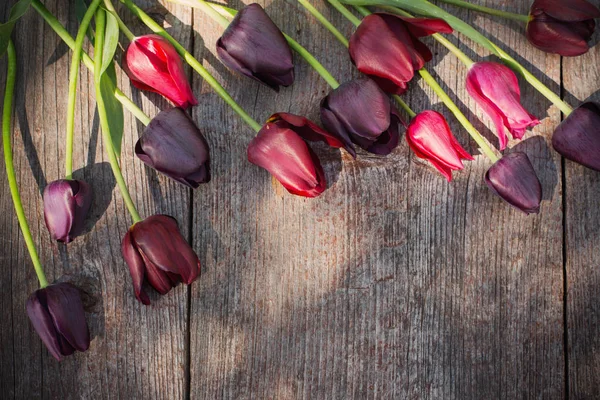 Tulips Old Wooden Background — Stock Photo, Image