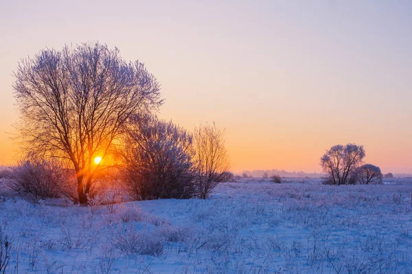 Красивый Зимний Пейзаж — стоковое фото