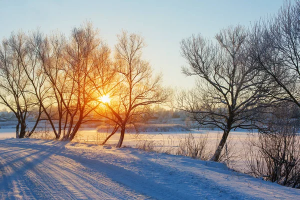 Mañana Invierno Con Nieve Heladas —  Fotos de Stock