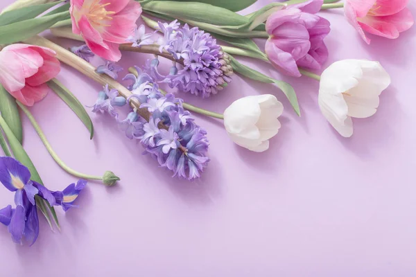 Hermosas Flores Sobre Fondo Papel — Foto de Stock