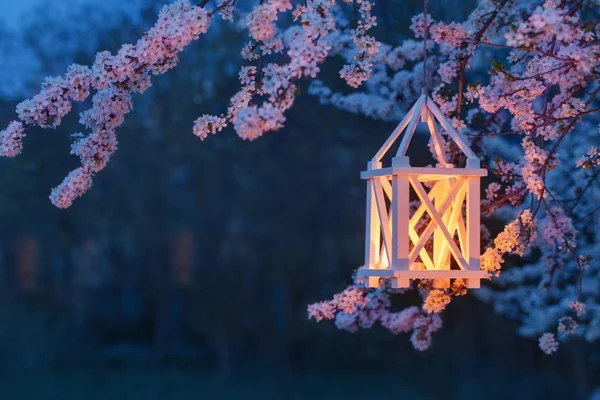 Windlicht Met Kaars Branden Voorjaar Cherry Tree — Stockfoto