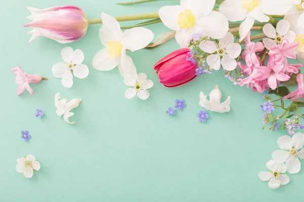 Schöne Frühlingsblumen Auf Papier Hintergrund — Stockfoto