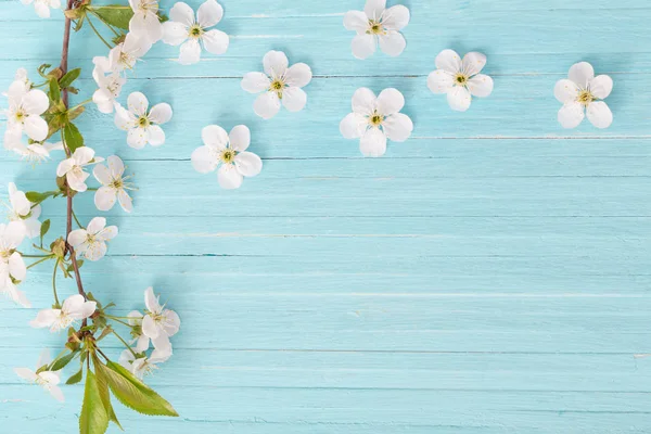 Flores Primavera Sobre Fondo Madera Azul — Foto de Stock