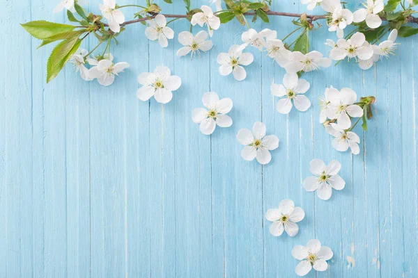 Spring Flowers Blue Wooden Background — Stock Photo, Image