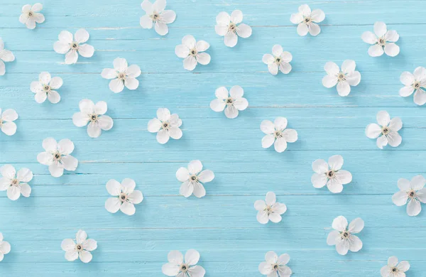 Flores Primavera Sobre Fondo Madera Azul — Foto de Stock