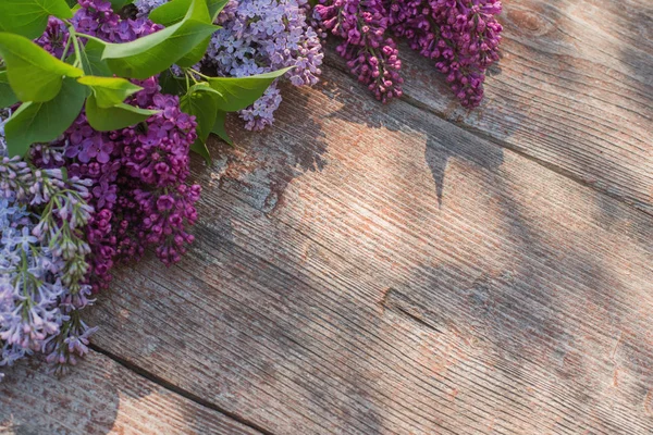 Lila Sobre Fondo Madera Viejo Luz Del Sol — Foto de Stock