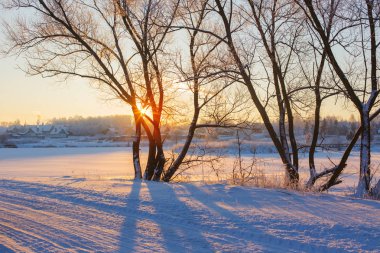 kış sabahı kar ve buz ile