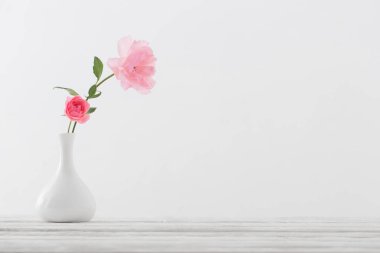 Beyaz arkaplanda pembe güller