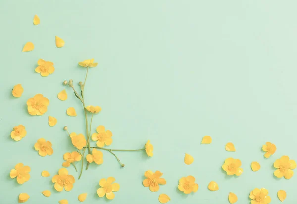 Buttercups Amarillo Sobre Fondo Papel Verde —  Fotos de Stock