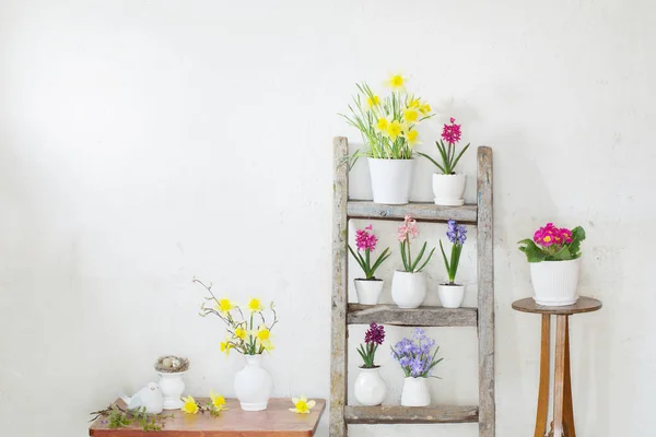 Décoration Pâques Sur Fond Vieux Mur Blanc — Photo