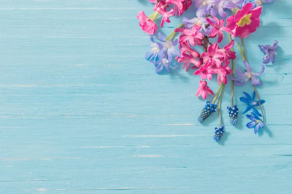 Fleurs Printemps Sur Vieux Fond Bleu Bois — Photo