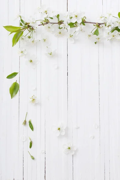 Flores Primavera Sobre Fondo Blanco Madera — Foto de Stock