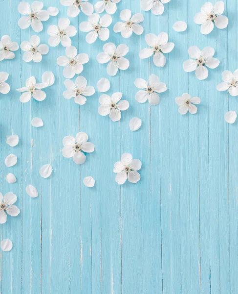Wiosenne Kwiaty Niebieskim Drewnianym Tle — Zdjęcie stockowe