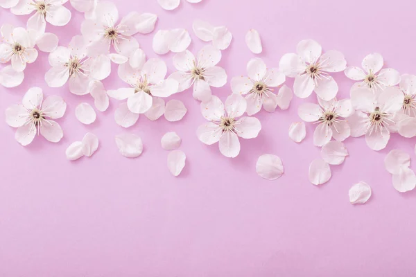 Cherry Flowers Paper Background — Stock Photo, Image