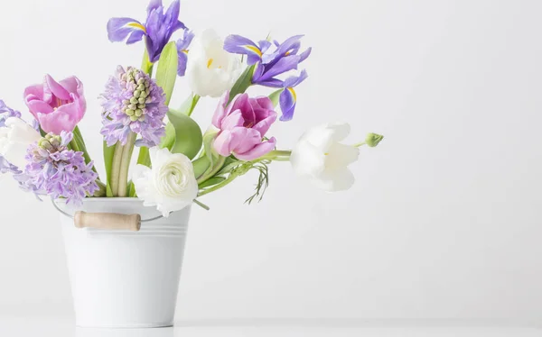 Весняні Квіти Відрі Білому Тлі — стокове фото