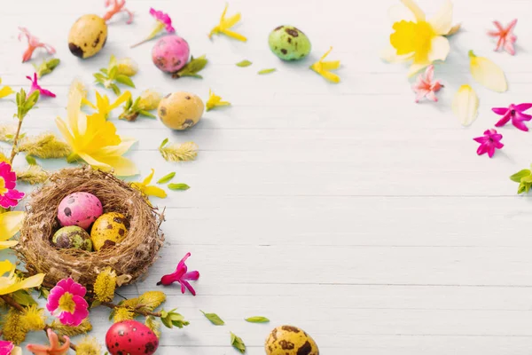 Uova Pasqua Nido Con Fiori Primaverili Sfondo Ligneo — Foto Stock