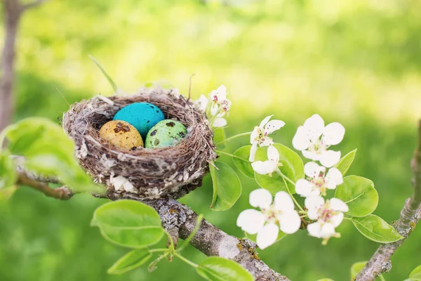 Uova Pasqua Nido All Aperto — Foto Stock