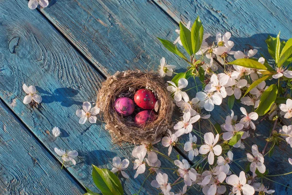 Uova Pasqua Nido Con Fiori Primaverili Sfondo Vecchio Legno — Foto Stock