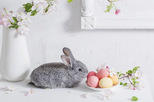 Bunny Med Påsk Ägg Vit Bakgrund — Stockfoto