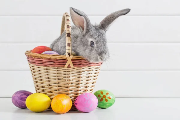 Lapin Pâques Avec Des Œufs Sur Fond Blanc — Photo