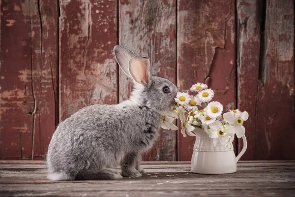 Bunnyes Avec Fleurs Printemps Sur Vieux Fond Bois — Photo