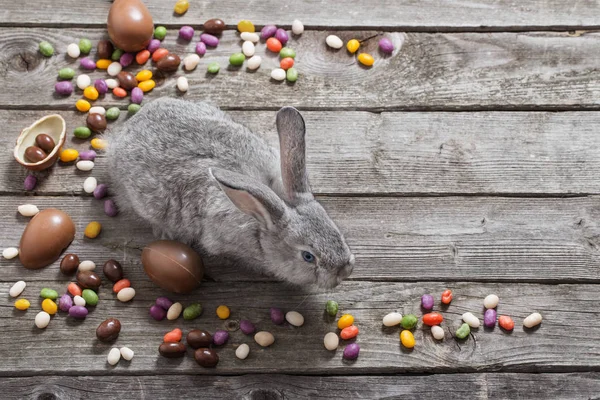Påsk Kanin Med Choklad Ägg Gamla Trä Bakgrund — Stockfoto