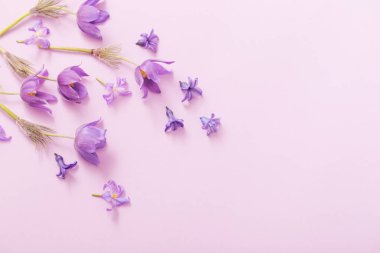 Kağıt arka plan bahar çiçekleri