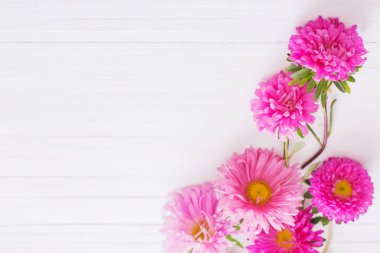 Aster Beyaz ahşap zemin üzerinde