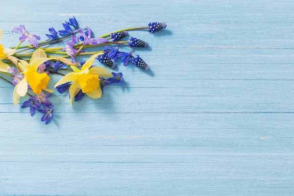 Flores Primavera Amarillas Azules Sobre Fondo Madera — Foto de Stock