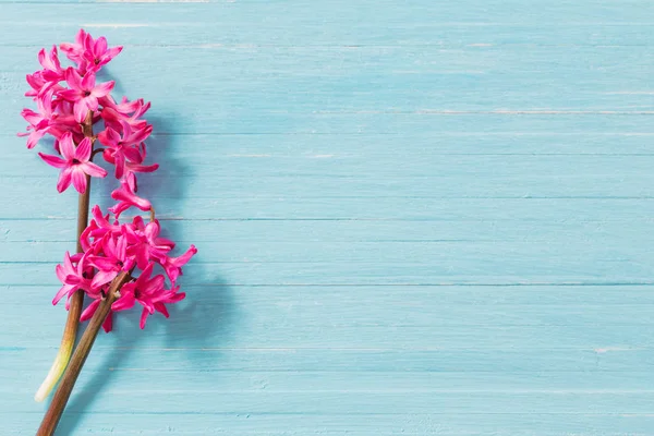 Våren Blommor Gamla Blå Trä Bakgrund — Stockfoto