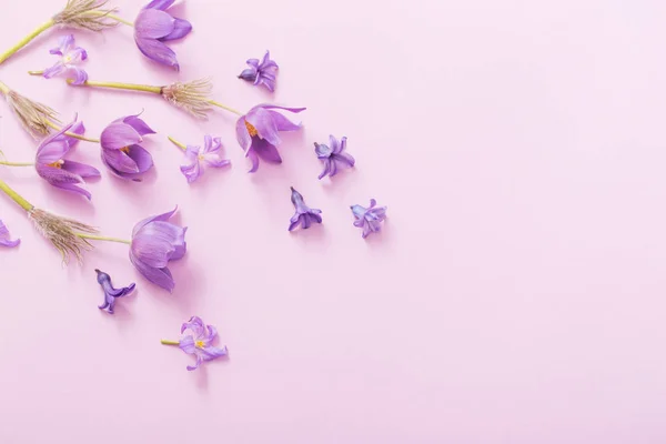 用紙の背景の春の花 — ストック写真