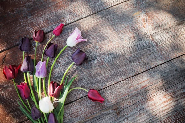 Tulipani Sfondo Vecchio Legno — Foto Stock