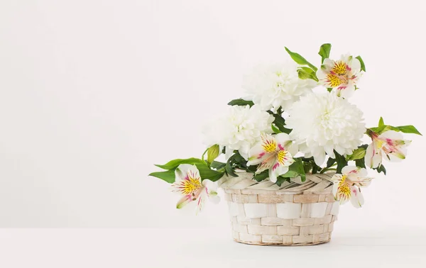 Chryzantéma Koši Bílém Pozadí — Stock fotografie