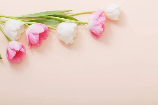 Tulipanes Rosados Blancos Sobre Fondo Papel — Foto de Stock