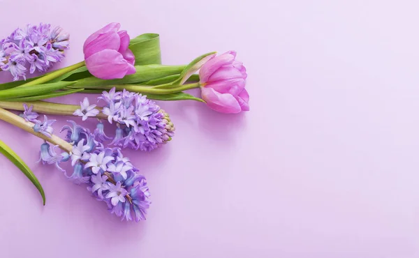 Hermosas Flores Sobre Fondo Papel — Foto de Stock