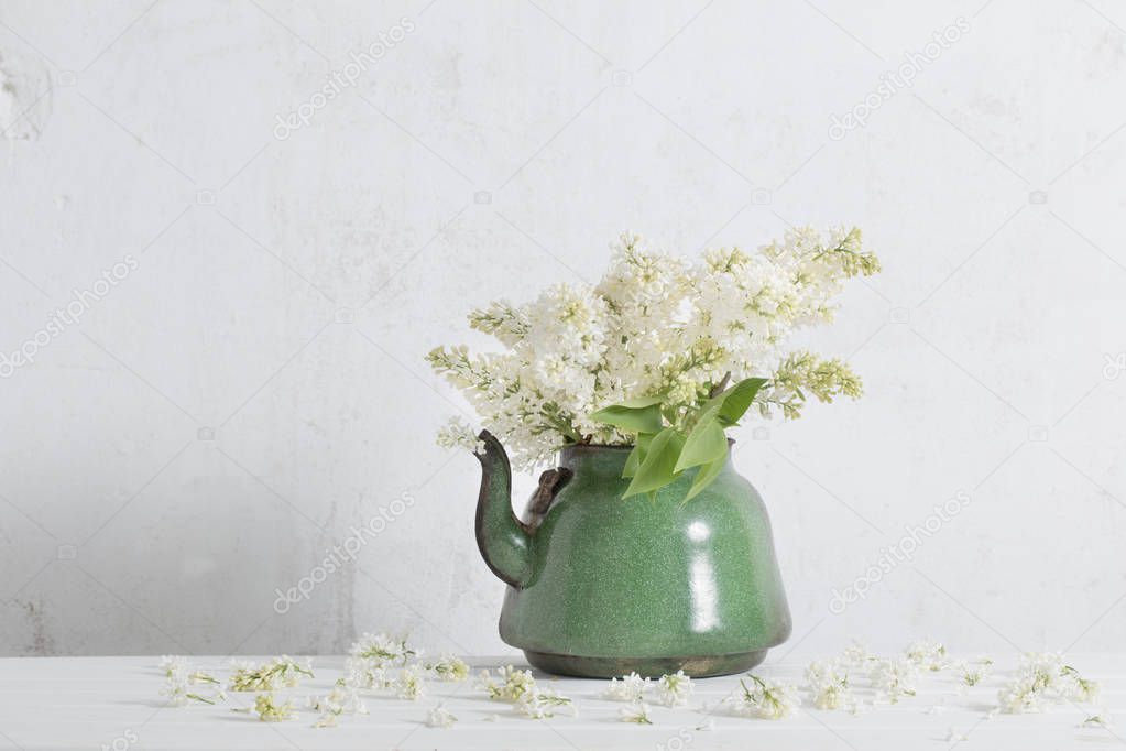 white lilac in old teapot on white background