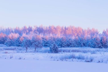 Güzel kış manzarası