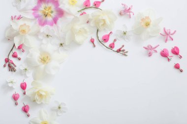 beyaz arkaplanda bahar çiçekleri
