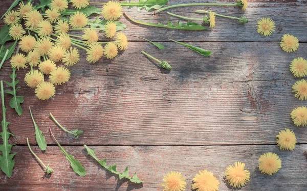 Dandelions Eski Ahşap Zemin Üzerine — Stok fotoğraf