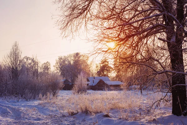 Güzel Kış Manzarası — Stok fotoğraf