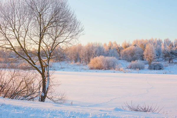kış sabahı kar ve buz ile