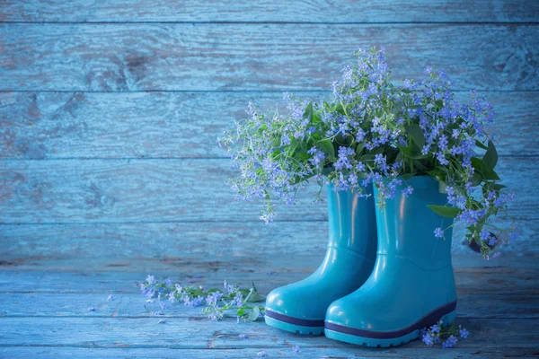 Flores Azuis Botas Fundo Madeira — Fotografia de Stock