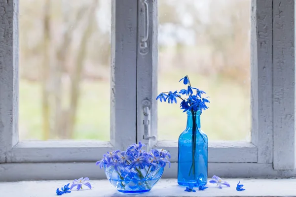 Bodegón Con Whstill Life Con Nevadas Azules — Foto de Stock