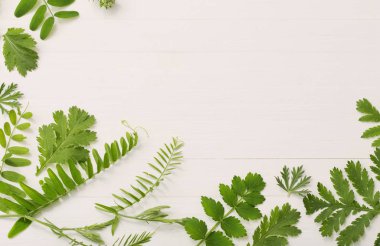 Beyaz ahşap arkaplanda yeşil yapraklar