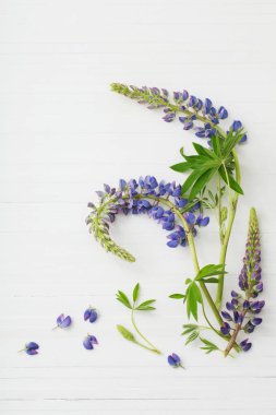 Lupine Beyaz ahşap zemin üzerinde