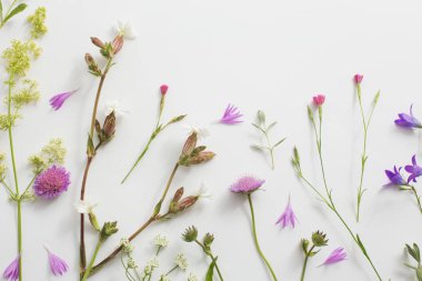 Beyaz Kağıt arka plan üzerinde yaz çiçek