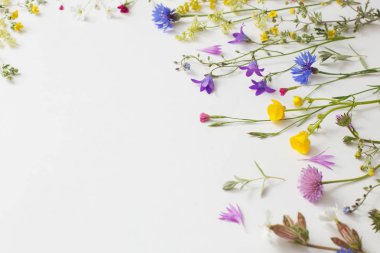 Beyaz Kağıt arka plan üzerinde yaz çiçek