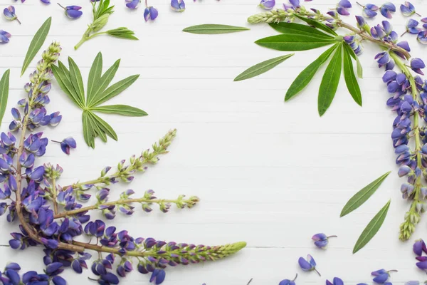 Lupine Bílém Pozadí Dřevěná — Stock fotografie