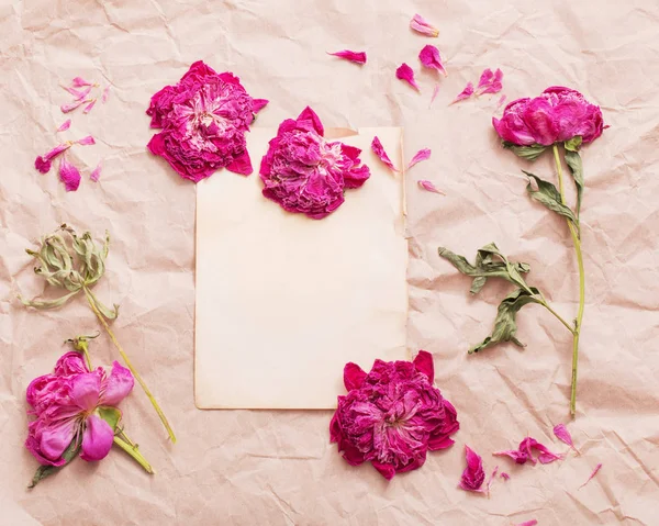 Sušené Květiny Pozadí Starý Papír — Stock fotografie